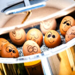 2025 03 11 LBH Calma Fruehstueck 36 1