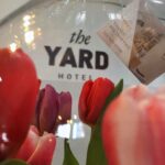 YARD 2022 Aussenbereich 1