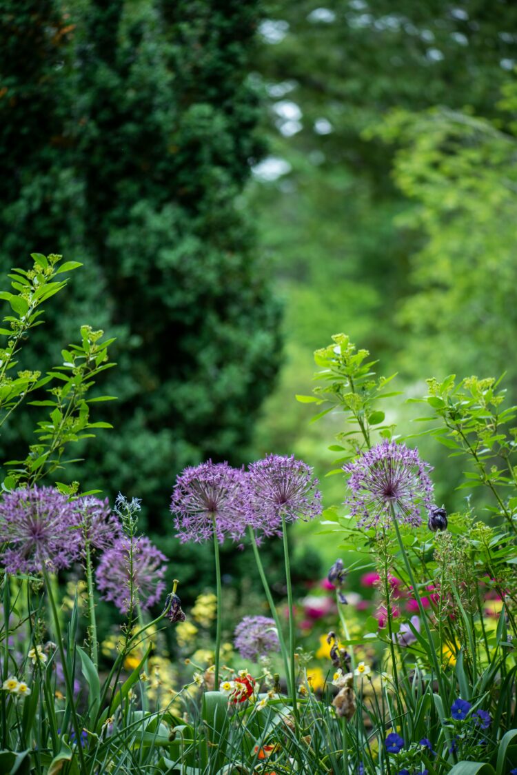 botanischer garten leipzig