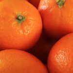 fjord hotel berlin 27 oranges 4197596 1920